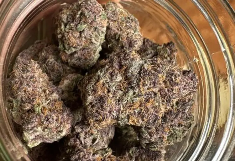 Professional Guidance